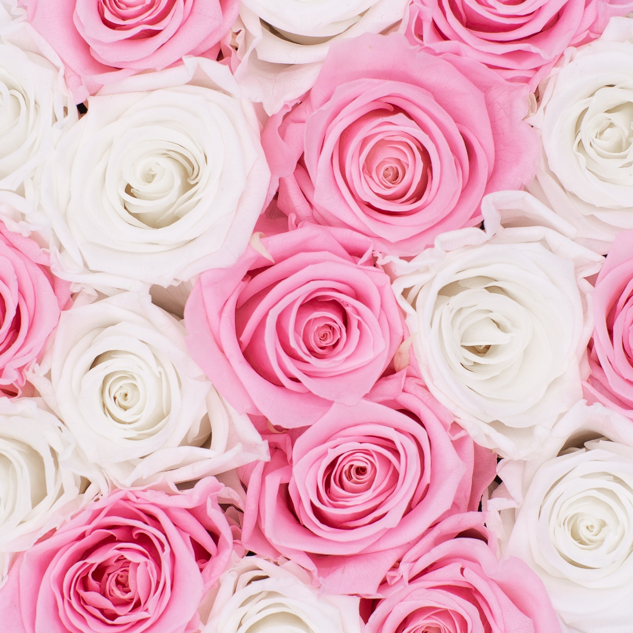 how-to-choose-the-perfect-rose-colour-for-your-loved-one-the-meaning