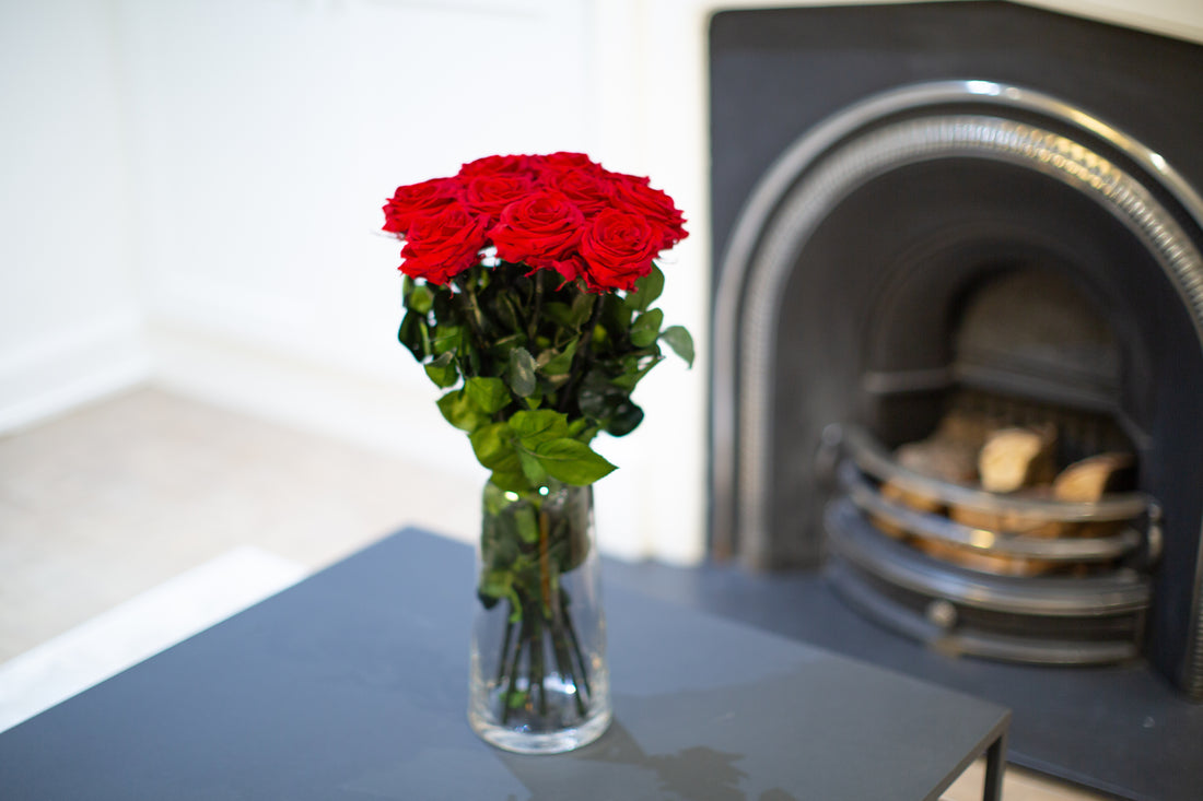 A Dozen Red Infinity Roses with Stem | Infinity Roses |Mother's Flowers