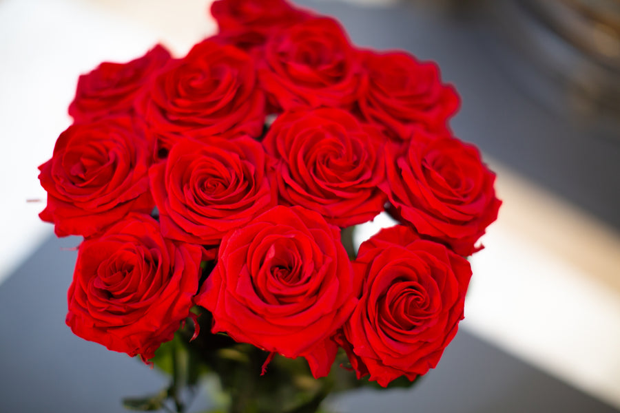 A Dozen Red Infinity Roses with Stem | Infinity Roses |Mother's Flowers