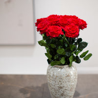 A Dozen Red Infinity Roses with Stem | Infinity Roses |Mother's Flowers