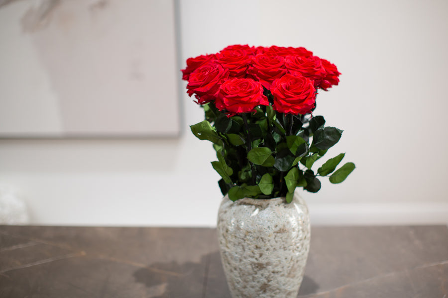 A Dozen Red Infinity Roses with Stem | Infinity Roses |Mother's Flowers